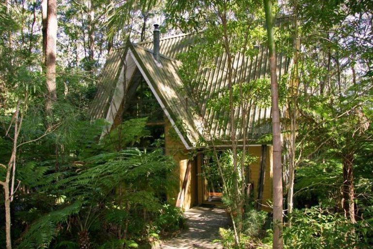 Springbrook Mountain Chalets Habitación foto