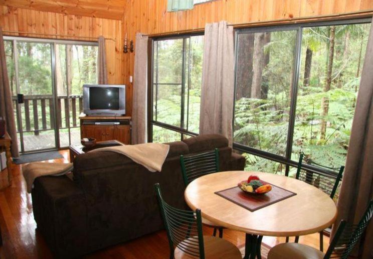 Springbrook Mountain Chalets Habitación foto