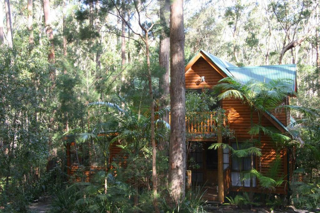 Springbrook Mountain Chalets Habitación foto