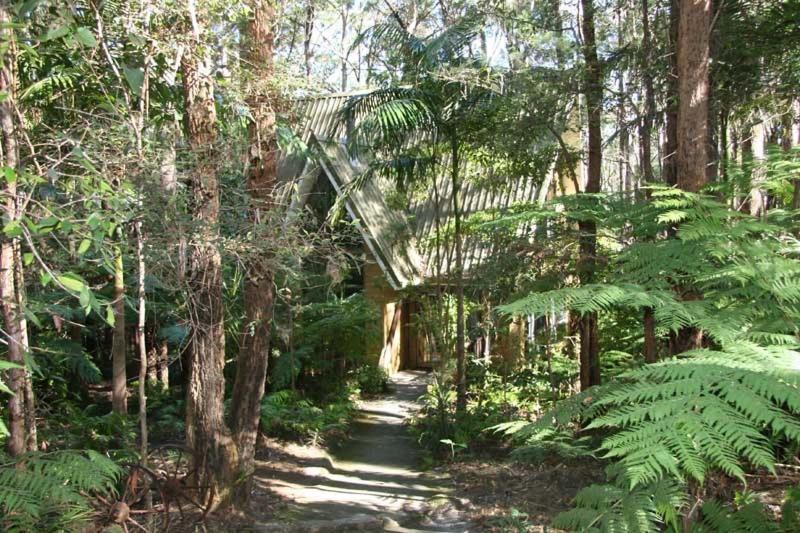 Springbrook Mountain Chalets Habitación foto
