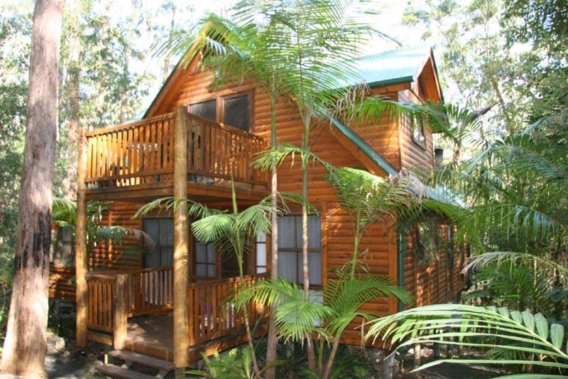 Springbrook Mountain Chalets Habitación foto