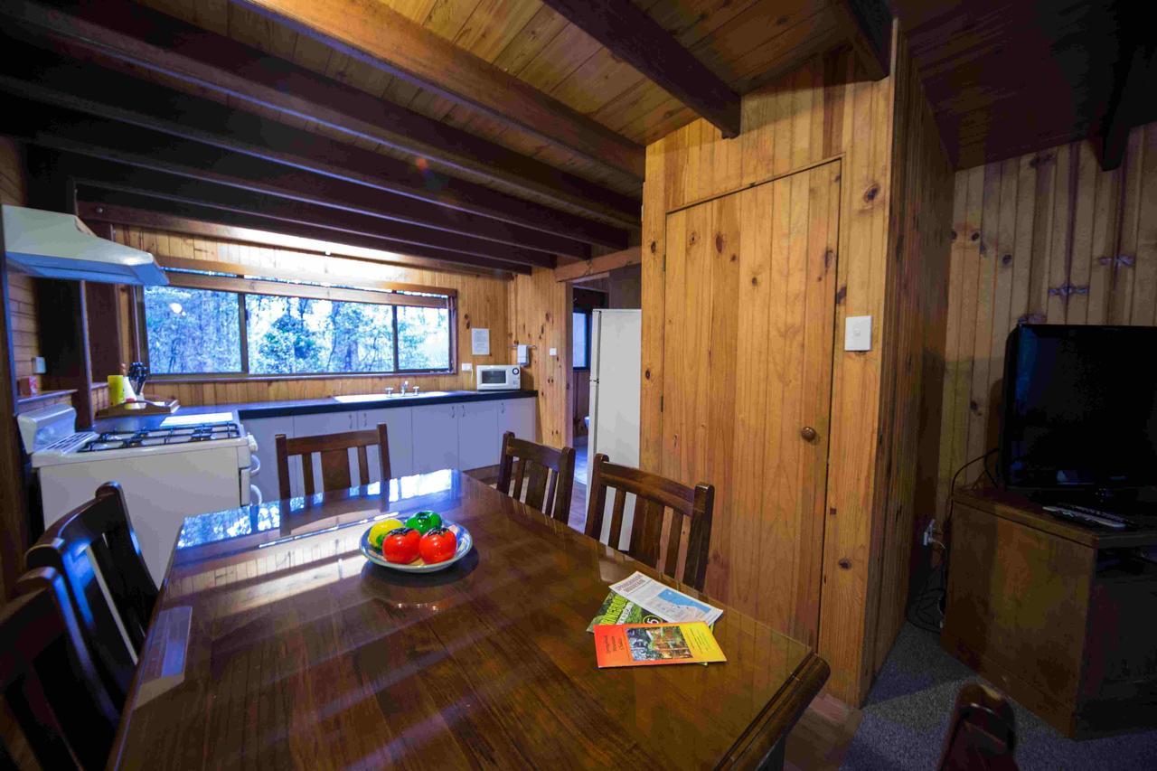 Springbrook Mountain Chalets Habitación foto