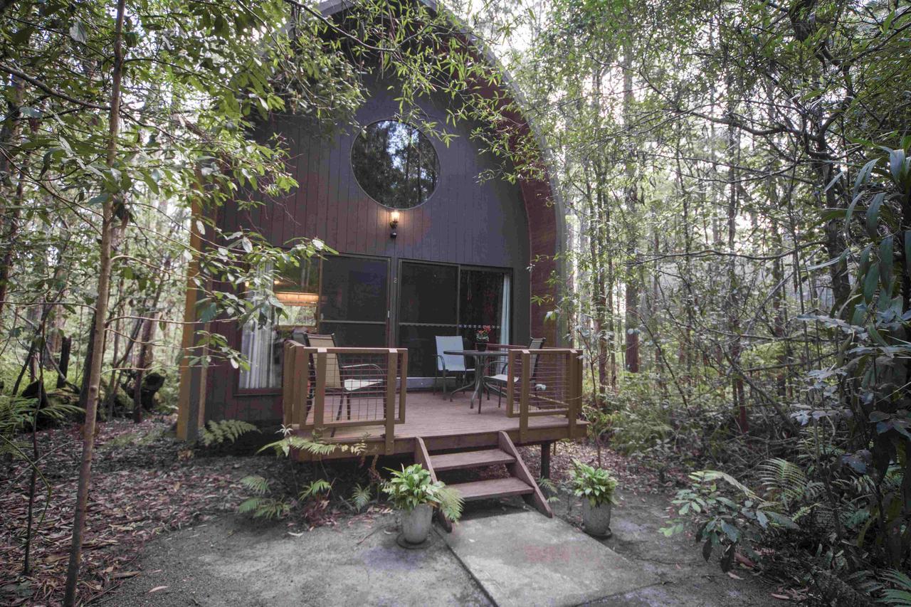 Springbrook Mountain Chalets Habitación foto