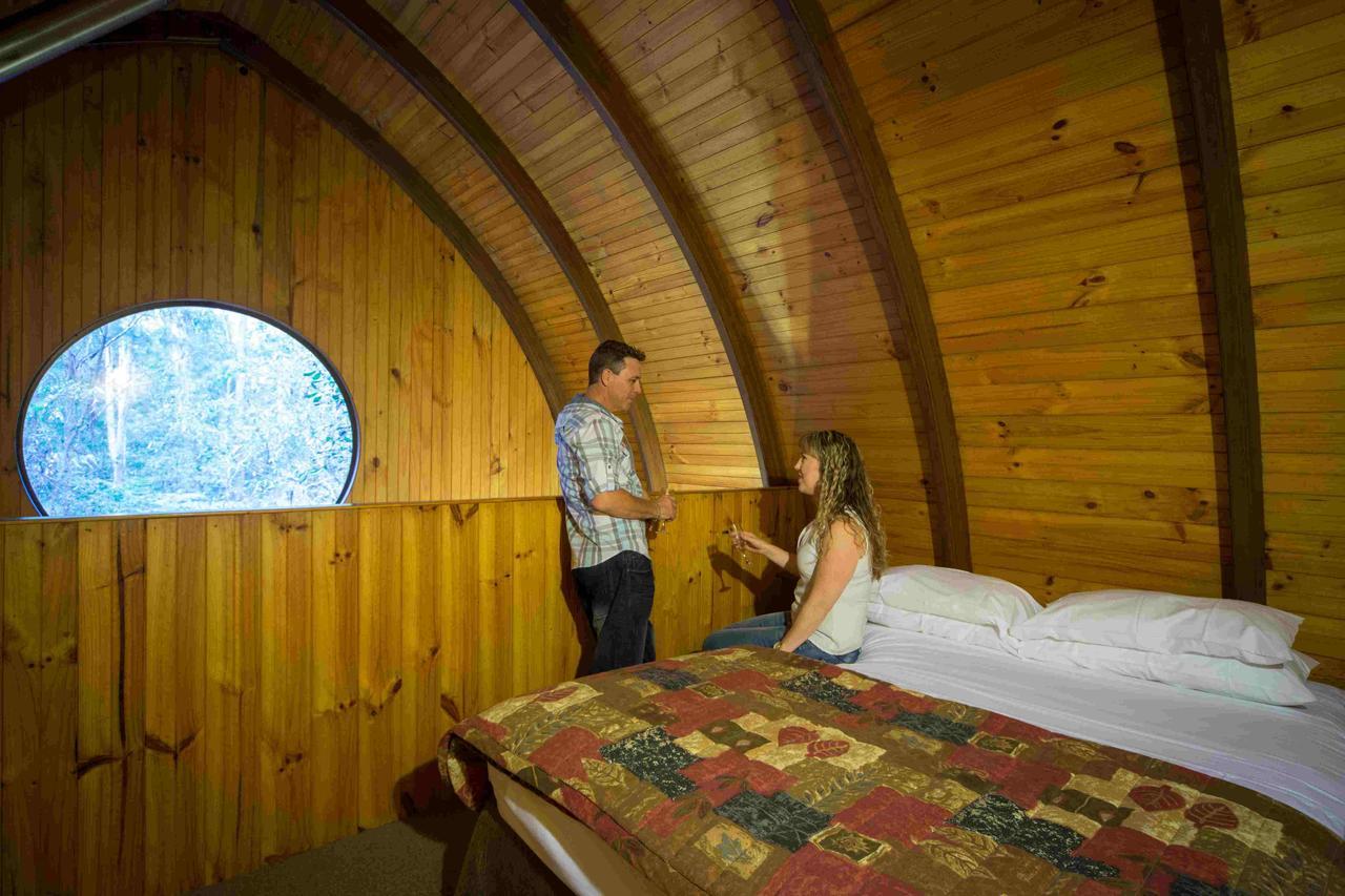Springbrook Mountain Chalets Habitación foto